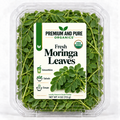Organic Fresh Moringa Leaves - 4oz