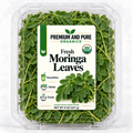 Organic Fresh Moringa Leaves - 8oz