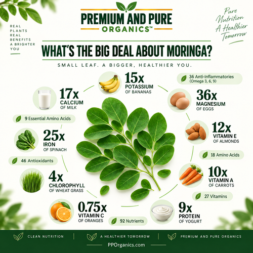 Organic Fresh Moringa Leaves - 4oz